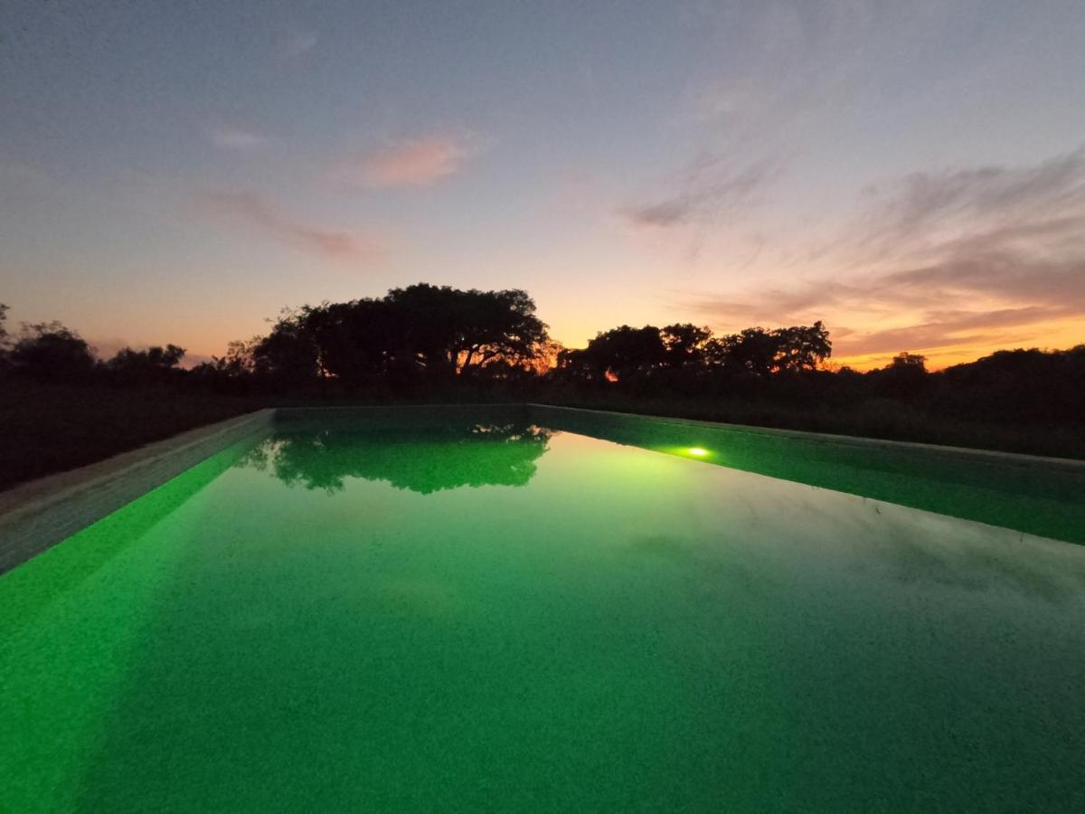 Monte Quinta Verde Феррейра-ду-Алентежу Экстерьер фото