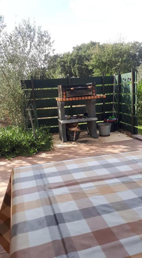 Monte Quinta Verde Феррейра-ду-Алентежу Экстерьер фото
