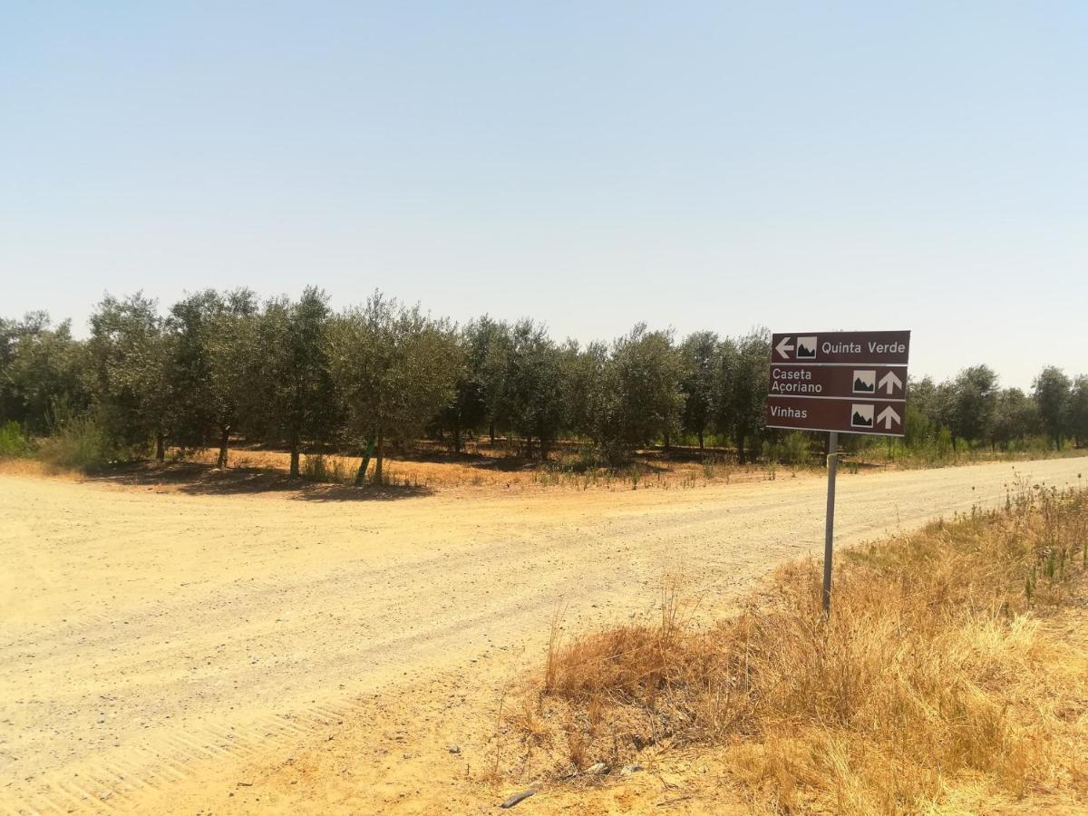 Monte Quinta Verde Феррейра-ду-Алентежу Экстерьер фото