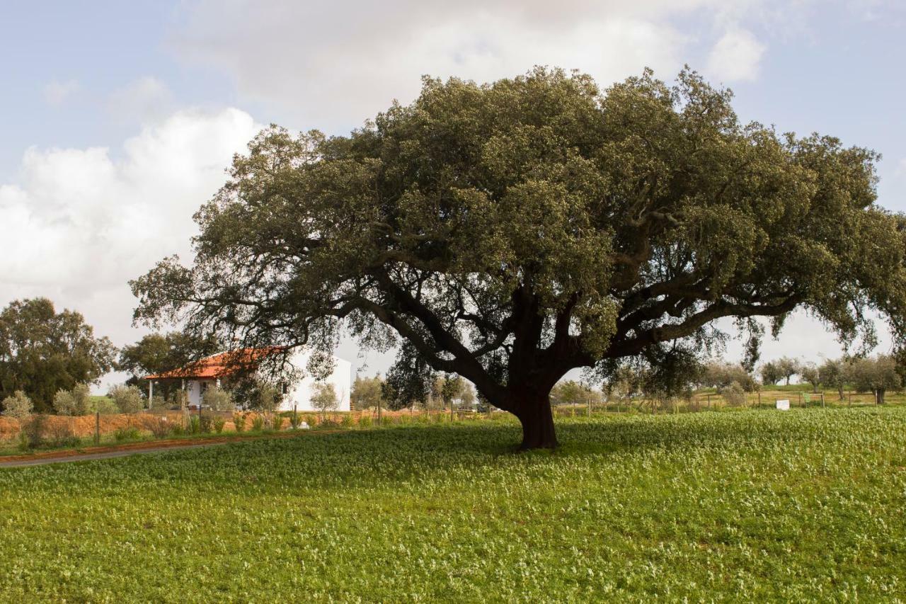 Monte Quinta Verde Феррейра-ду-Алентежу Экстерьер фото